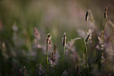 V社悄悄更新《半条命2》 优化修复为新掌机做铺垫